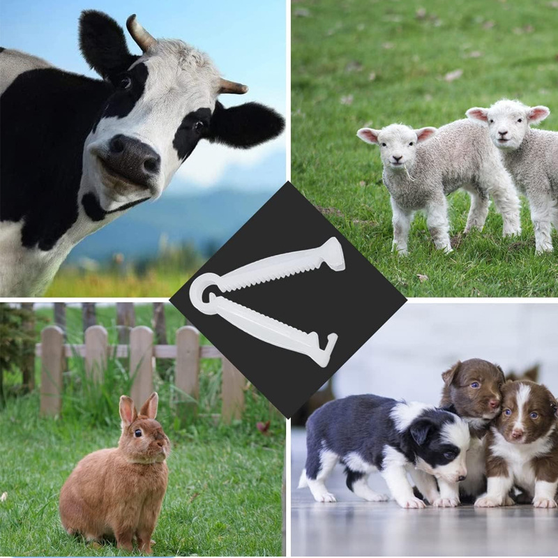 Clip de cordón umbilical de cerdo mayorista para cerdos cortadores de cordón umbilical desechables para cerdos equipos de cría de cerdos