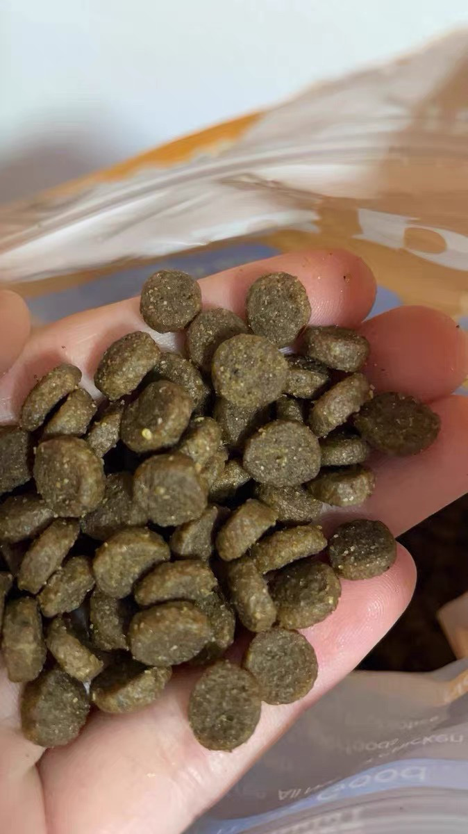 488e0c2e-aeeb-43f3-962c-fdf1e5ca81a5.jpe