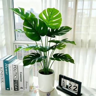 ����Gֲ�߼����k�����쾰�͏d�����b�����������������ֲ��