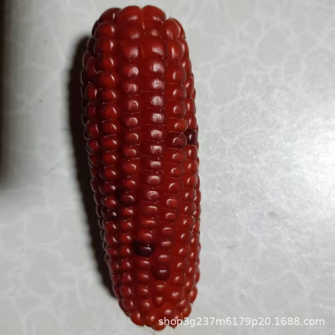Маленький кролик, оптовая продажа, кукурузные зерна, питомец