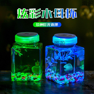 �l����~�����W�Ў��tҹ���~�׸ה[�������~�⌙���w�\ݔƿ��ˮ