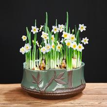 �մɴ�̖ˮ�ɻ���G������ɰ�͹Ŵ��Մ��₀��ˮ���~�X��ֲ������