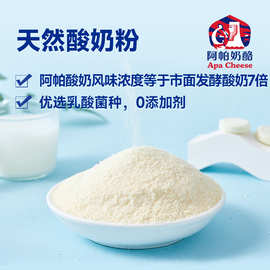 酸奶粉 冰淇淋糖果【不做酸奶】鲜奶发酵 厂家直营原料乳酸菌