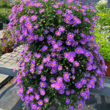 СջNӶ༾_׷NN҃ԻܶͺN