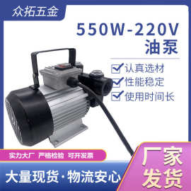 厂家供应大功率550w220v电动柴油泵抽油机抽油泵加油机加油泵油泵