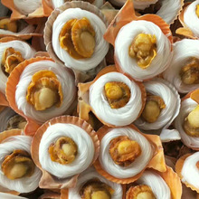 �۽zؐ200ֻ ���r����۽z��ؐ ������������ؐ �V�|���]