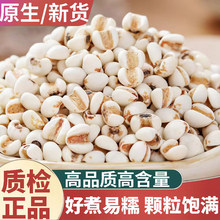 Ұɽ�F��С޲����؛500g����s�Z��ˮ��С����޲����С�t��޲