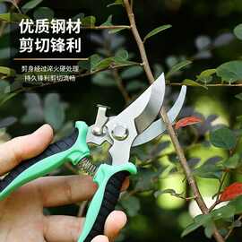 不锈钢树枝剪修枝剪园艺剪刀果园花艺专用摘果剪园林工具剪批发