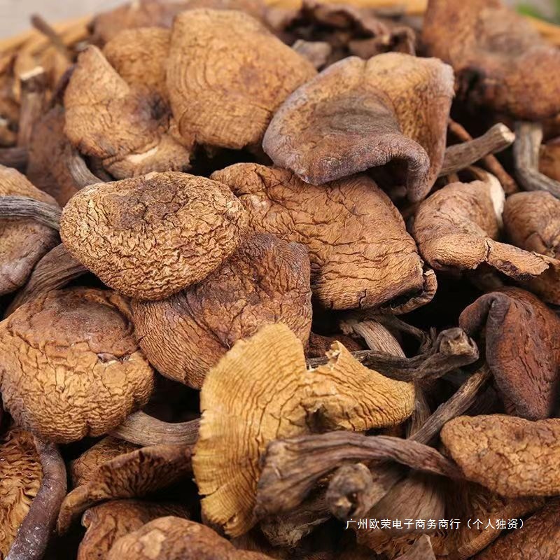 2024东北特产野生榛蘑丁干货小鸡炖蘑菇长白山臻蘑特级无根新货