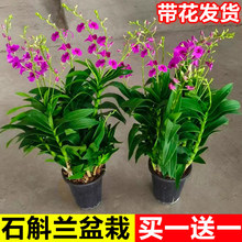 ��ˮʯ���m���Ԏ����͏d�k�҃ȝ����ͻ��ܾGֲ�ļ��_�����׻�ֲ��