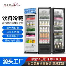 奥达信商用冷藏柜出口立式保鲜柜厨房冰柜冰箱 CE 认证厂家直供