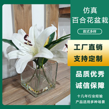 ٺϻFSҼˮ滨[ƵӰgOӋ