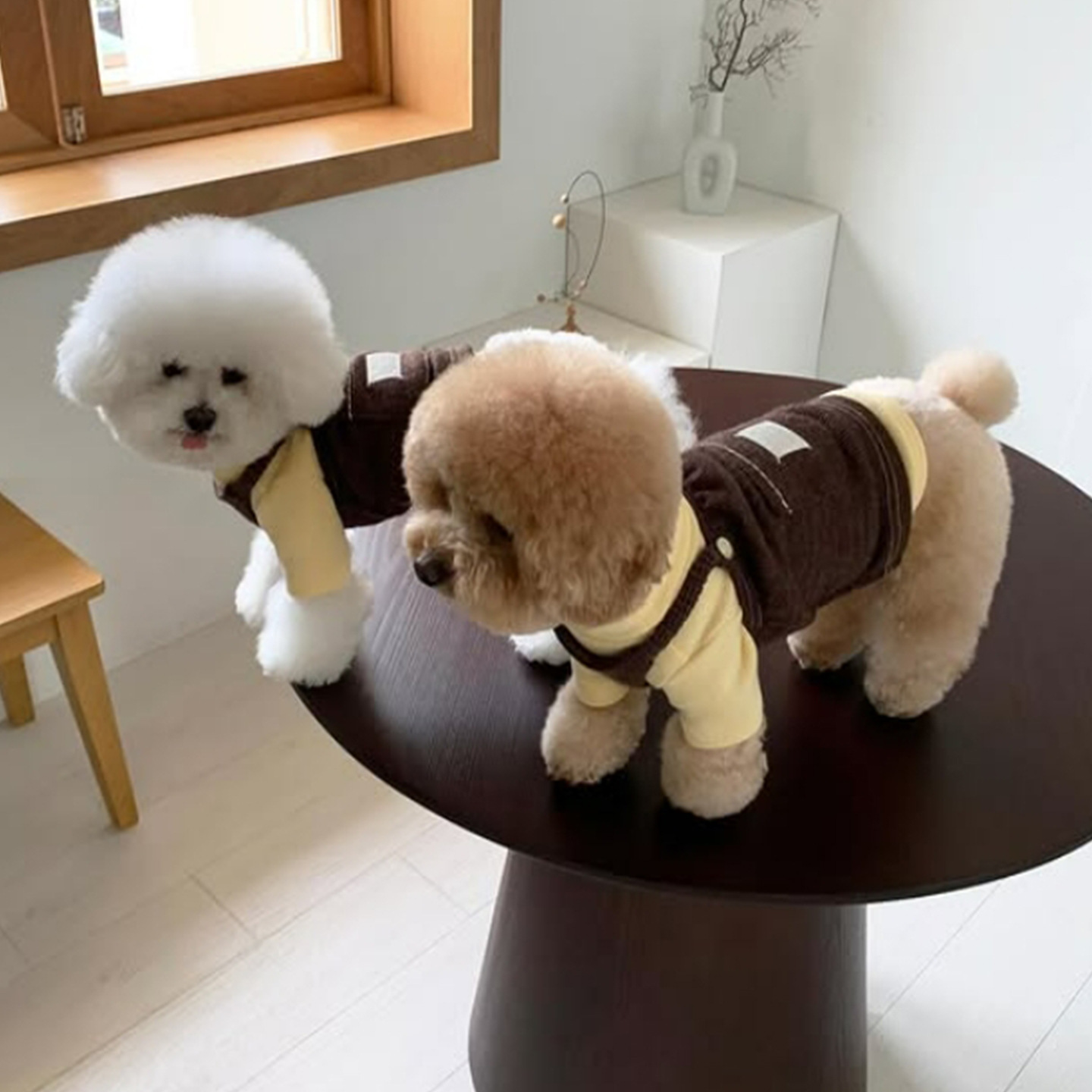 Nuevo otoño y invierno simple afortunado bolsillo de cachorro vestido de correa delgada mascota perro gato ropa de peluche image 3