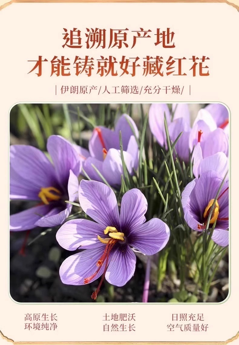 Saffron Threads Zang Hong Hua Premium Crocus Stigmas Traditional Herbal Tea 5g Gift Box quality and texture