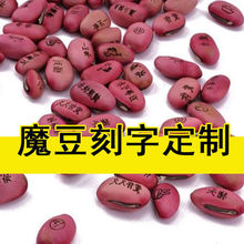 �������ħ������ֲ��CIY����С���Ԑ��鶹�׃��@ף���N�����