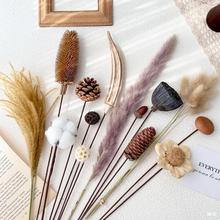 diyϸɻɏJȔ޻ɹ滨Lɿ͏db廨[O