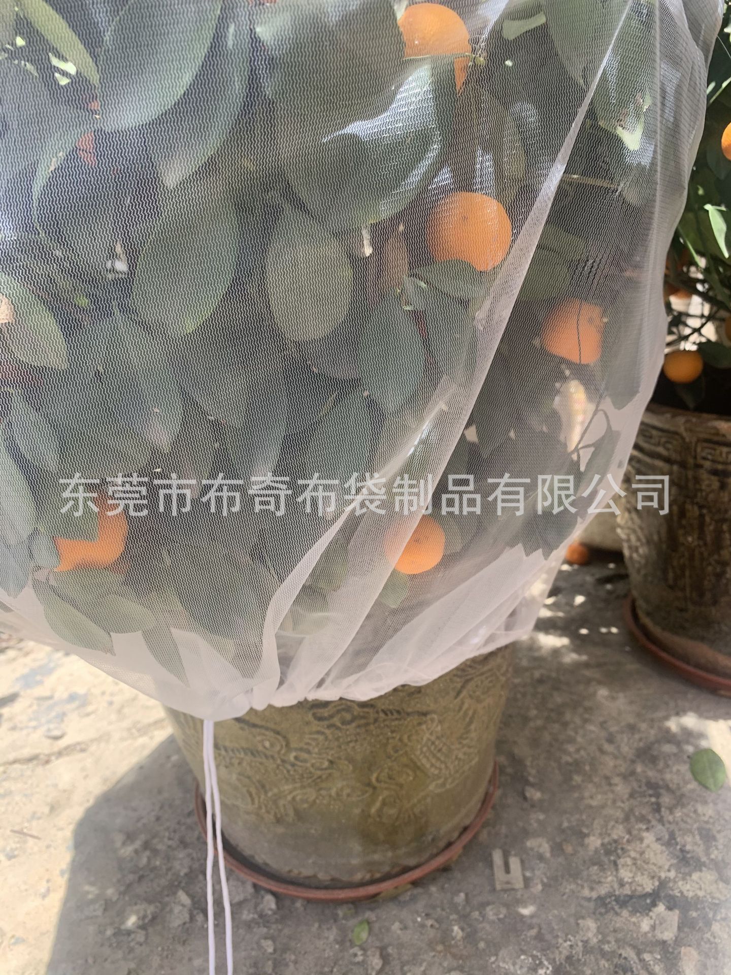 41d0c5fd13577c1742bdf29d98be5d