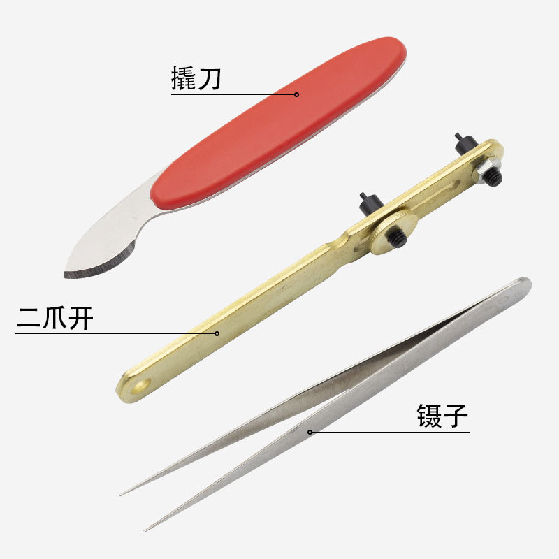 Manufacturer-supplied watch repair tools: 16-piece set, including plastic cards for removing and installing watch straps, battery replacement tools, and case back opening devices.