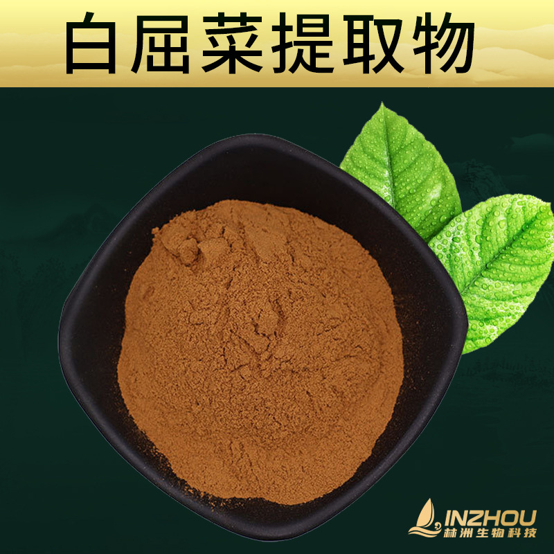 白屈菜提取物  林洲生物 山黄连/断肠草提取物 白屈菜粉  工厂直