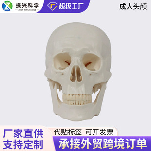 落地卧室衣架