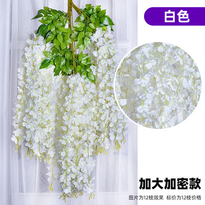 Encriptación Extra Grande-Blanco