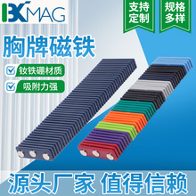 工厂批发钕铁硼磁铁 金属磁吸胸牌工号牌磁铁 圆形强磁铁