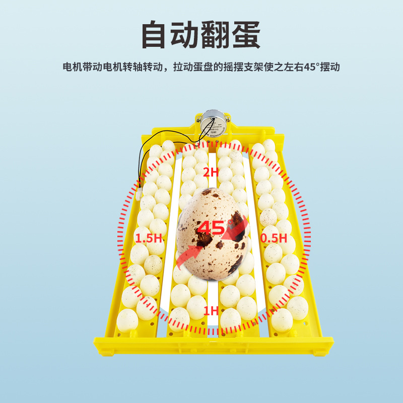 Pequeño hogar incubadora huevo placa 88 pájaro huevo placa con motor incubadora automática accesorios fábrica suministro directo