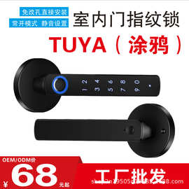 跨境外贸智能指纹把手锁涂鸦蓝牙室内执手TTLOCK木门电子通通锁
