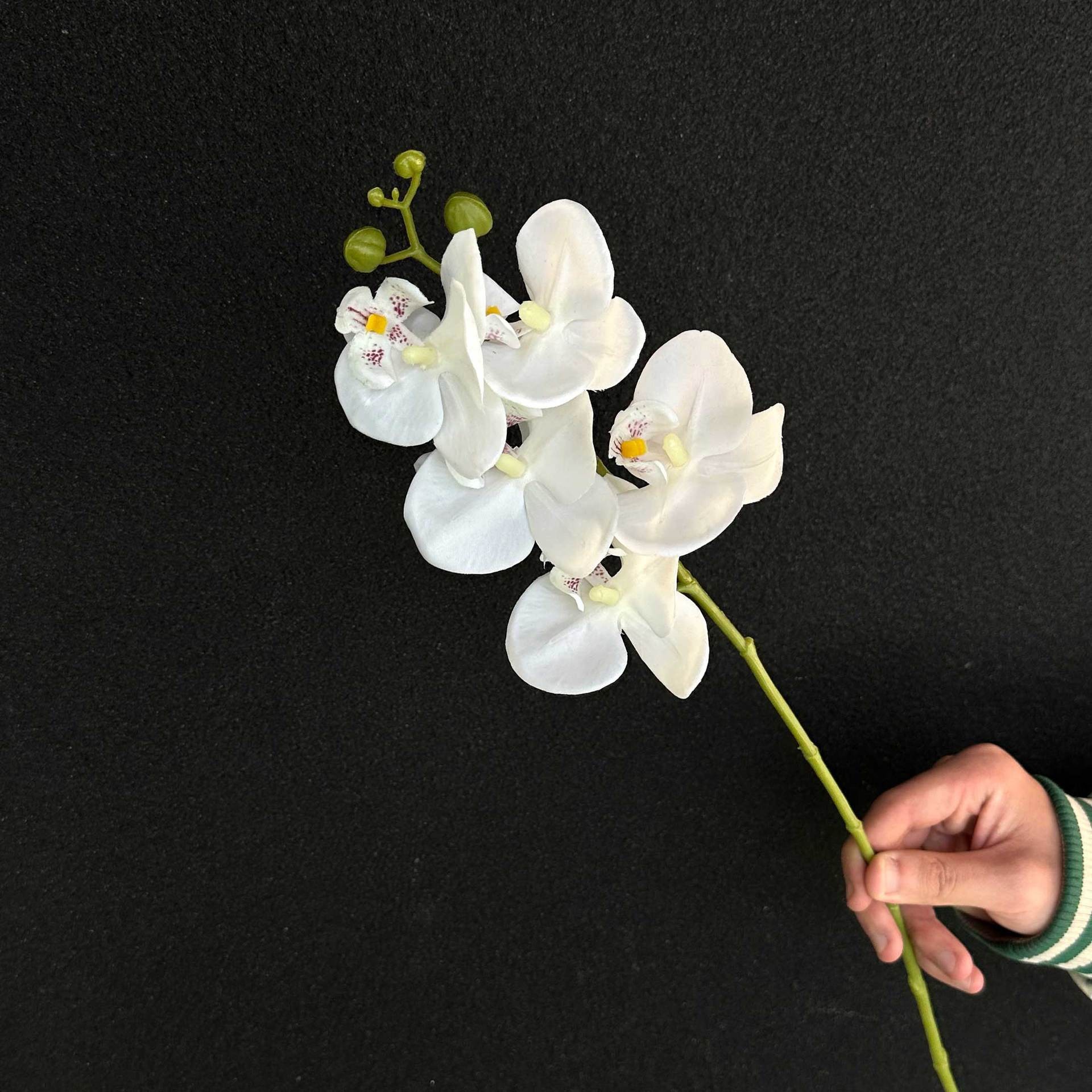 Flores falsas blancas Flores artificiales Flores para bodas Auditorio de bodas Decoración del hotel Techo artificial Flores artificiales Flores falsas