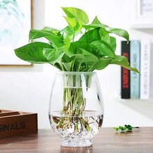 创意简约透明玻璃花瓶水培绿萝植物鲜花插花瓶客厅摆件器皿鱼缸