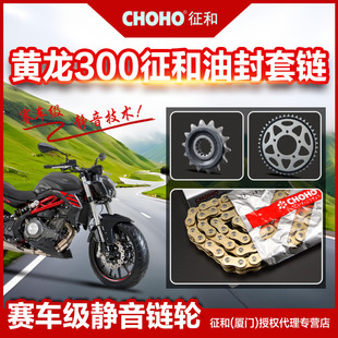 Бенали сапфир Дракон 300 BJ300GS BN300/302 немой цепь маленькая тарелка передача Чжэнхэ печать цепь