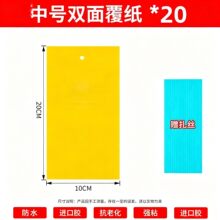 �p���Sճ�x�廨��ω�����T�x��@ˇС�w�x�����߲˲�@�����N