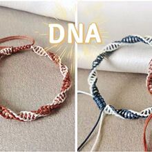 ���Ąӡ����ֵ�pɫ�p����DNA���K���s�L��Ů���|�ۿ��{�����K