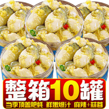 ���������^��ʳ������Ϡ���⺣�r��ʳ���b������ؐ���ʳ���