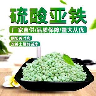 ���͏S�� ����ˮ�|�� ���I��;�V ���၆�F