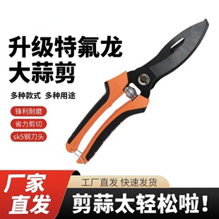 ���⌣�ü���������������������^����횗U���[����늄��ЈA�[�[