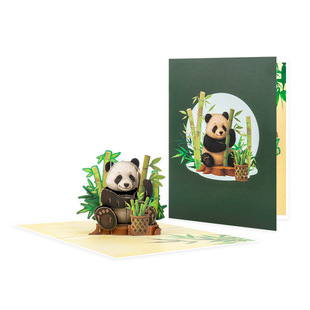 3D���w��؈�R�����⼈�����նY��ɶ��Ą��ɐ۔[���o��Ʒ