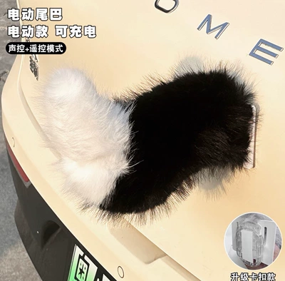 Tail Ornament for Women, Car ornaments - voice-control-remote-control-electric-tail-black-and-white