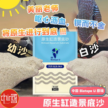 原境白沙幼沙鱼缸底沙三湖慈鲷鱼缸沙美丽老师沙子青麻石黄麻石