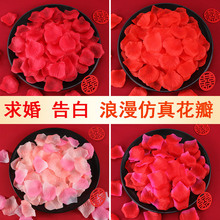 �鷿�b���õ�廨����鲼��������Y�����Y��������õ�廨��