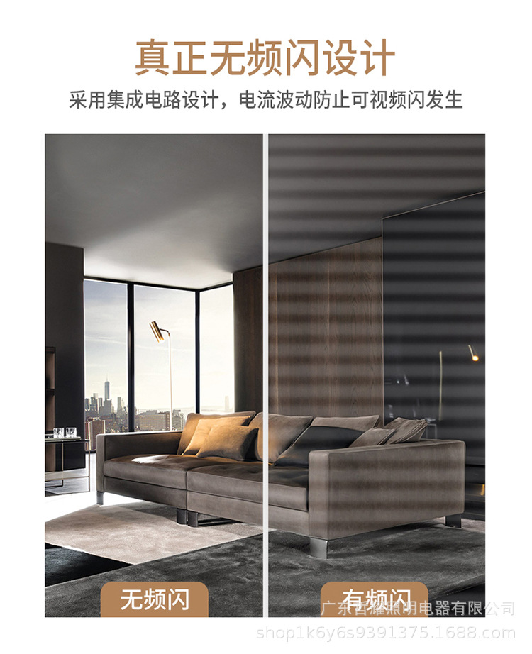 金色拉尾尖泡_09