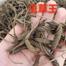 �x���� ���Ұ���x���� ������ ������ ���������l���l����ă�