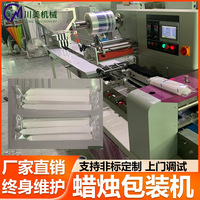 蜡烛包装机 棒棒冰火腿肠自动下料套袋包装机 小铁管枕式包装机