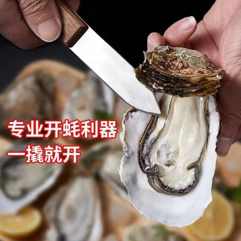 ステンレスの厚い木の柄は生のカキの刀を開けます。|undefined