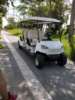 Electric golf A cart Electric Golf Cart