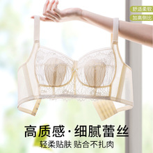 �����@С����Ů����o�Ȧ�ö����ļ�ȫ�ֱ��Ըм����ո���������