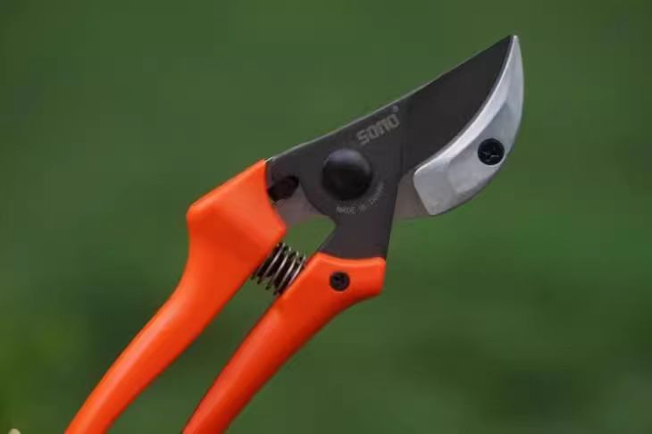 微信图片_20241219164625