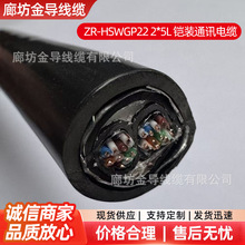 ZR-HSWGP22 2*5L��ȼ�z�bͨӍ��|�F·��̖��|�z�b��|