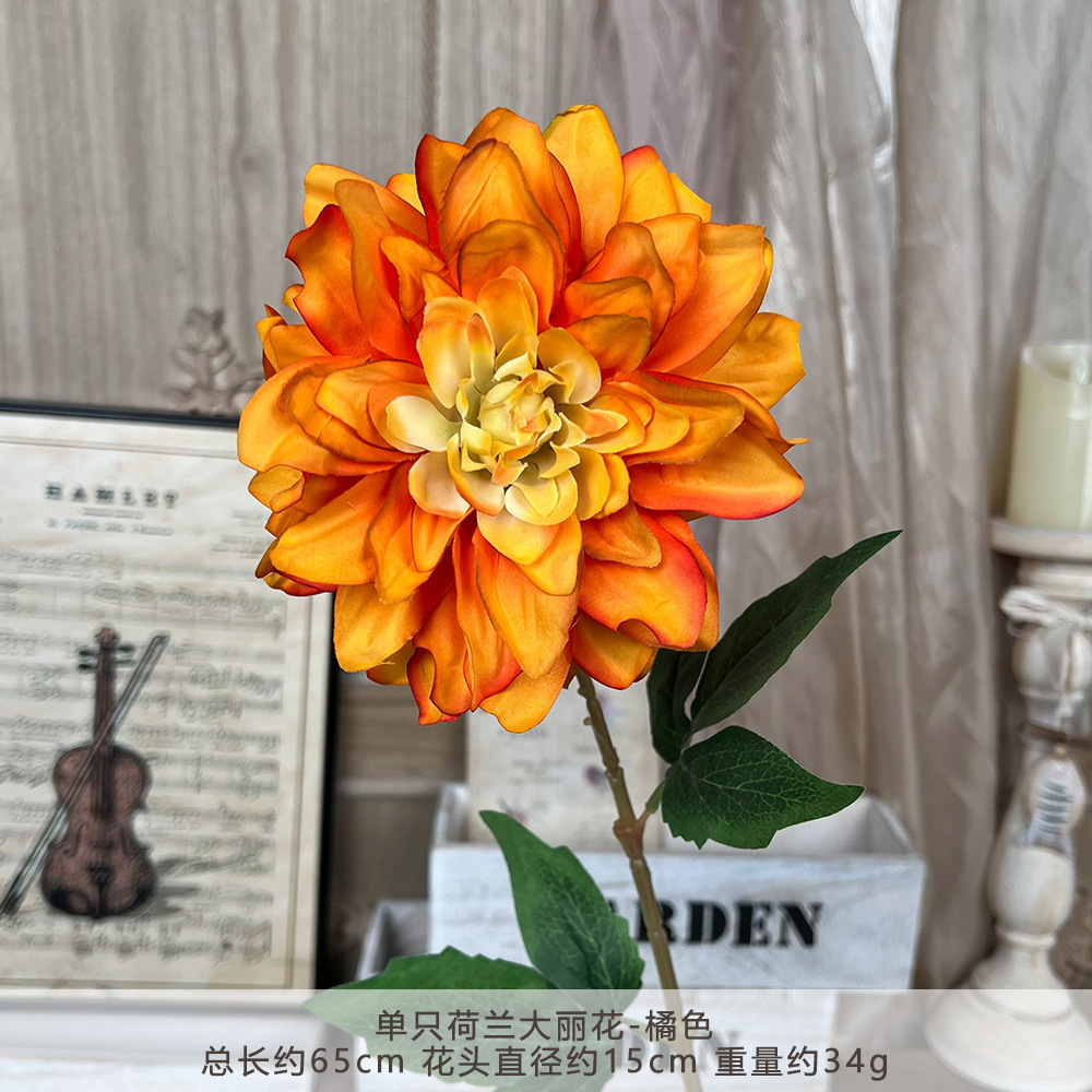 TY Cành đơn Hà Lan Dahlia - Màu cam