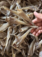 rɳ~Ұɳ~ՕL~ɺr؛500g